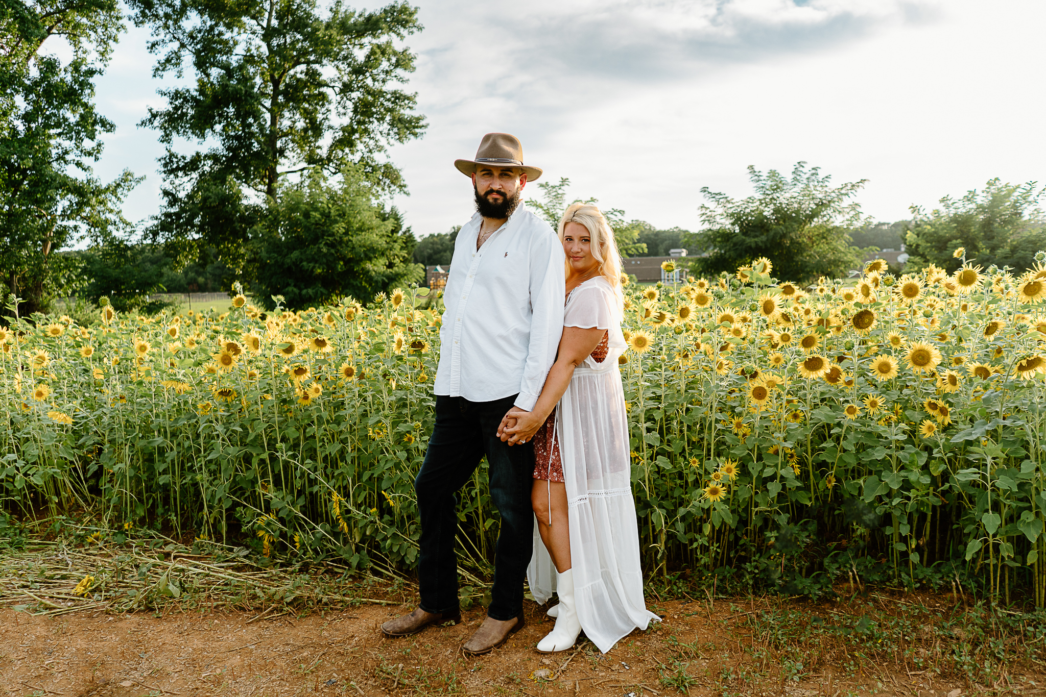Charlotte NC sunflower fields
