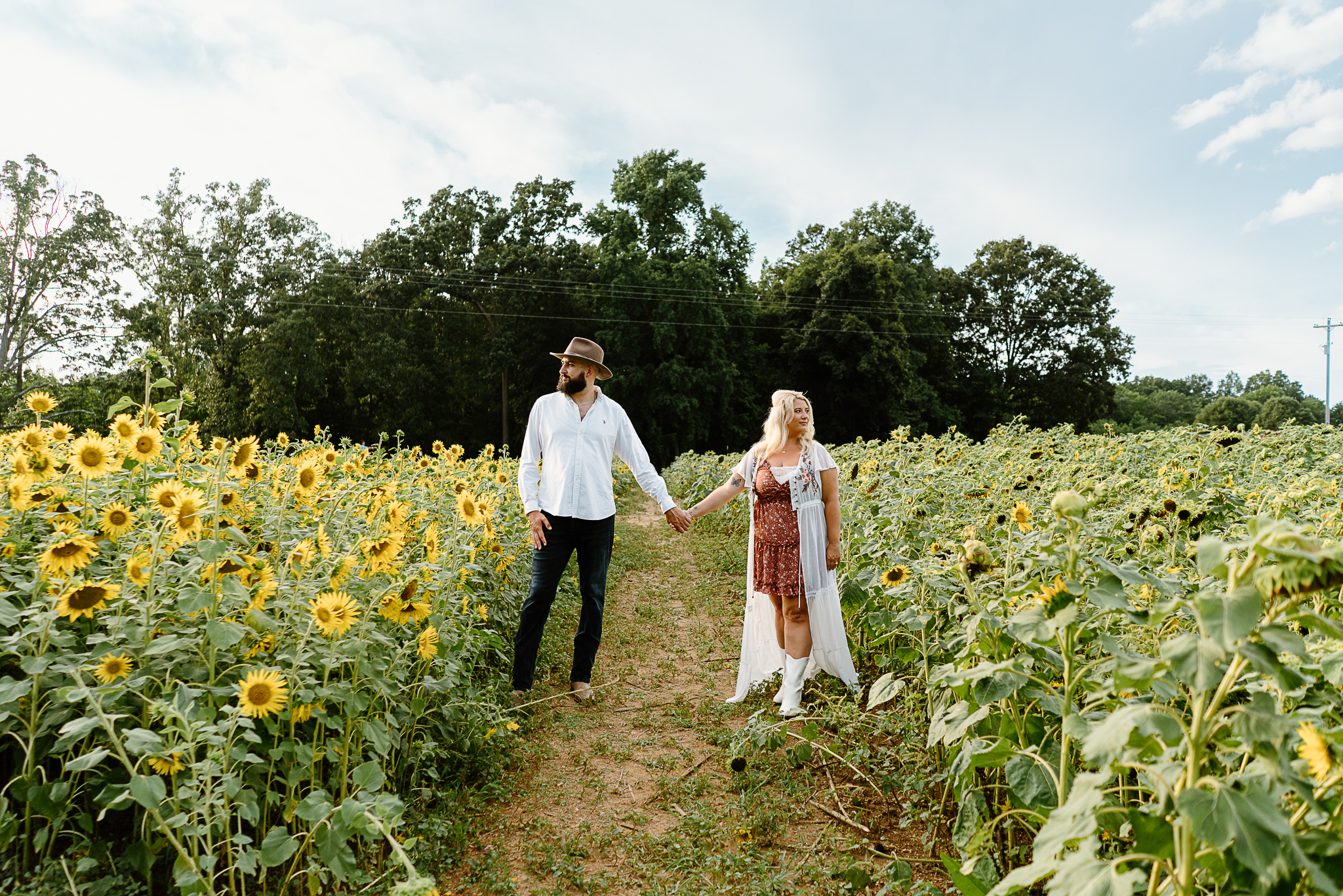 Charlotte sunflower fields